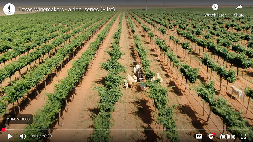 Screenshot from Texas Winemakers docuseries pilot episode